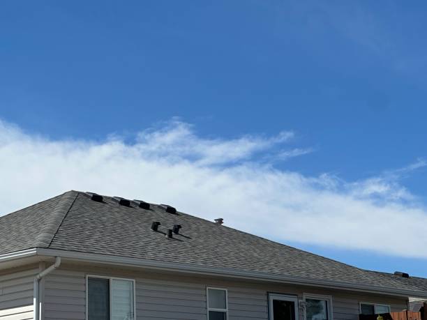 Best Rubber Roofing (EPDM, TPO)  in Vaville, CA